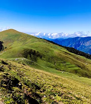 Ali Bedni Bugyal Trek